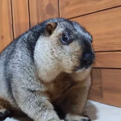 某JTCメーカーで製造技術3年目で機械設計を行ってる20代です。主に治具設計、装置設計、NC工作機械の選定、チャックジョウ設計、立ち上げを行ってます。
機械設計全般の知識、今後のキャリアについての情報収集垢です。どうぞよろしくお願い致します。
