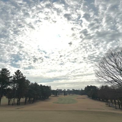 T_vvvv_'s profile picture. 