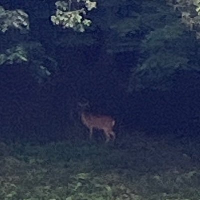 hayashi_dm's profile picture. 歩く人　Drum @linenfrisco / Muto はやしです