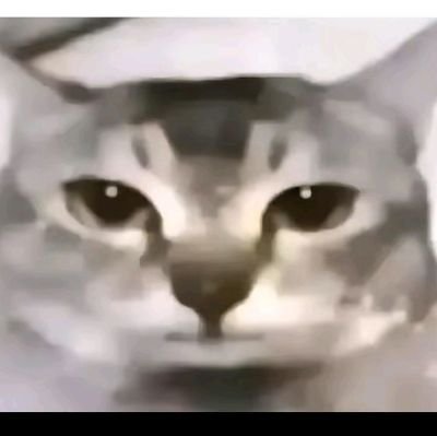 Happy_8444's profile picture. Lazy guy who likes to enjoy doodling and is a feline lover