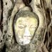 ElMundoMinimal (@elmundominimal) Twitter profile photo ElMundoMinimal (@elmundominimal) Twitter profile photo