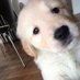ᴹᴼᴿᴺᴵᴺᴳ (@bqiuawtcgp55794) Twitter profile photo ᴹᴼᴿᴺᴵᴺᴳ (@bqiuawtcgp55794) Twitter profile photo