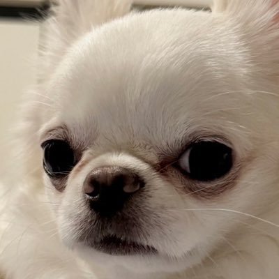 Ytnk3656931's profile picture. 