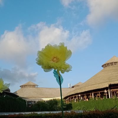 bagiannyimak's profile picture. • Nengok kanan kiri emg mau nyebrang •