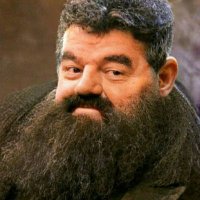 Carlos Sepúlveda R (@carlossepret) 's Twitter Profile