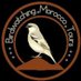 Birdwatching Morocco🦅🦉 (@birdsmorocco) Twitter profile photo Birdwatching Morocco🦅🦉 (@birdsmorocco) Twitter profile photo
