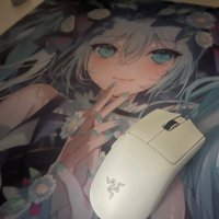 mirror (@mirror_fps) 's Twitter Profile Photo