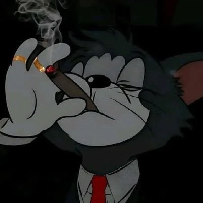 Vinith8034's profile picture. 