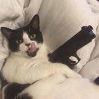 bixby / tea (@emoassloser) 's Twitter Profile
