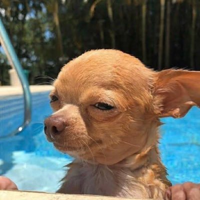 nuDuean17's profile picture. น้องถั่วงอกเอง ♡ NuNew ♡ (fan account)?