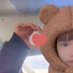 𝐸𝑛𝑛𝑎𓂃 𓈒𓏸 (@enna25751793) Twitter profile photo 𝐸𝑛𝑛𝑎𓂃 𓈒𓏸 (@enna25751793) Twitter profile photo