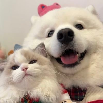 have a good day💙🧡
艾玛丽数据号!还有两个号哦
@xavierheiheihei
@xavierheihei
唯海景唯海景!🈲一些奇奇怪怪的东西