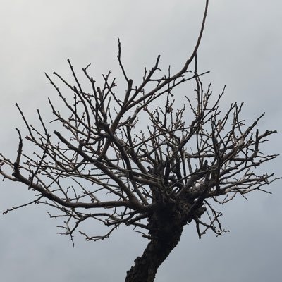 narunaru1234ne's profile picture. ko b4