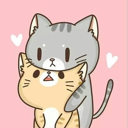 Support #prem_space | #BounPrem 🐱🐷 | #isamsame | 🏒🏒 // #รีวิวคูมเลซี่ 🫶