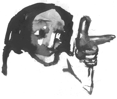 investigative journalist THE PERFECT CHAOS THEORY IN PRACTICE CHECKS IMBALANCES