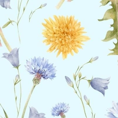 pp_niwa's profile picture. 