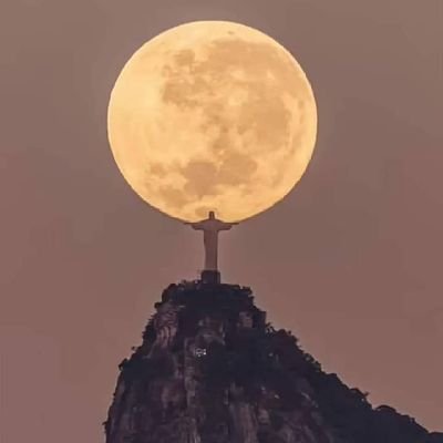 Endure la période difficile avec patience , même si elle se prolonge ☀️
LA PATIENCE CONDUIT À LA VICTOIRE ✨🌹