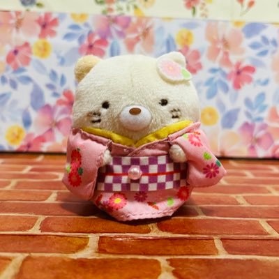 katze0335🚀さんのプロフィール画像