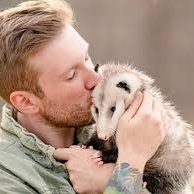 Opossum is very adorable. Stay with your loving pet and also with us for latest drama!!! #opossum #possum #pets