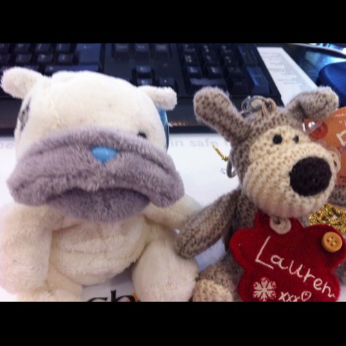 Laursballs's profile picture. 