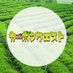 カーボンクエスト公式@インターン生が運用中! (@carbonquest_jp) Twitter profile photo カーボンクエスト公式@インターン生が運用中! (@carbonquest_jp) Twitter profile photo