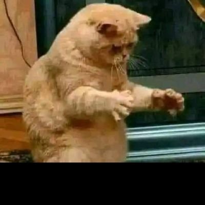 Sibonelo1486914's profile picture. u driver we quantum, mathanga amhlophe, azoshumayela