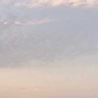 すみれさんのプロフィール画像