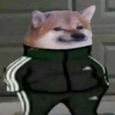 Romain__chl's profile picture. infoSec student