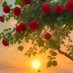 Karishma (@kkarishma75916) Twitter profile photo Karishma (@kkarishma75916) Twitter profile photo