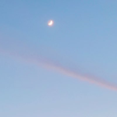 xxhiteukxx's profile picture. ☺︎ 格闘技観戦が好きです🥊斎藤裕選手/扇久保博正選手/所英男選手/朝倉海選手/パク･シウ選手/浜崎朱加選手/井上尚弥選手/GSP/‥特に🫶 /自然や絵画を見ることも好きです♪