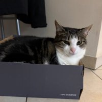 teeyo (@teeyo_o) 's Twitter Profile