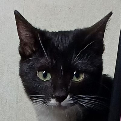 haruharu25117's profile picture. 