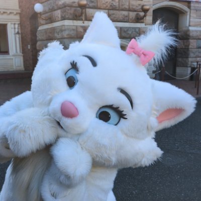 30↑双極症Ⅱ型とパニック障害、ADHDと付き合ってます😔障害者雇用で奮闘中〜
フィギュアスケート観戦⛸️音楽鑑賞🎧
可愛い子が好き♡品やかに踊る人が好き💃なんとかなるでしょ〜精神で生きてます〜🥹編み物にハマってます🧶