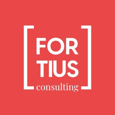 Consulting firm specialised in Third Sector organisations working in strengthening civil society. ENG | ES info@fortiusconsuting.org