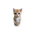 villzz!! (@vilitzi) Twitter profile photo villzz!! (@vilitzi) Twitter profile photo