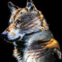 Greg Stevenson (@gstv2384) 's Twitter Profile