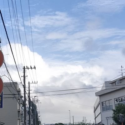 utubyoukunekune's profile picture. @Kaikoubu_100000とか