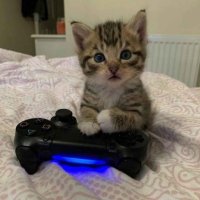 ma2st4er5 (@ma2st4er5) 's Twitter Profile