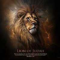 Ruben (Le lion de Juda) (@fay14696) 's Twitter Profile Photo Ruben (Le lion de Juda) (@fay14696) 's Twitter Profile Photo
