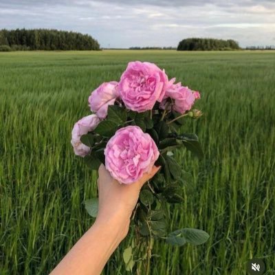 ammymme's profile picture. 