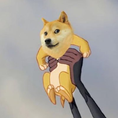 winlinprt's profile picture. 宝贝狗 0x9f96c10732d6774cd22c1de95299f686e3044444