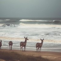 ' (@la_l670) 's Twitter Profile Photo