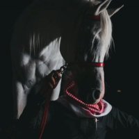 ‎ٱﻟﻌﻧﯾد⁷⁸ | 🇸🇦 (@turki1almutiri) Twitter profile photo