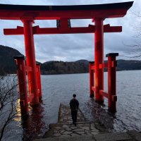 lumi (@lumi__ow) 's Twitter Profile