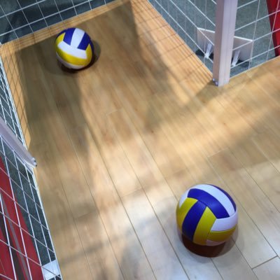 ジャンル変動もあり以前の交換垢から切り替え新規作成しました、お取引歴は10年くらいある30↑です。フォロー数/フォロワー数少なくご不安になる方は本垢提示可能です、お気軽にお申し付けください。1日1回は必ず浮上・迅速丁寧なお取引を心がけております、よろしくお願いします🙇♀️(お取引決定後元ツイは削除しています)