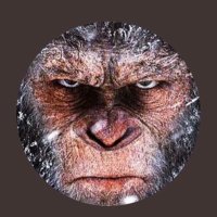 SEZAR (@navivanilla) 's Twitter Profile