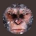SEZAR (@navivanilla) Twitter profile photo SEZAR (@navivanilla) Twitter profile photo