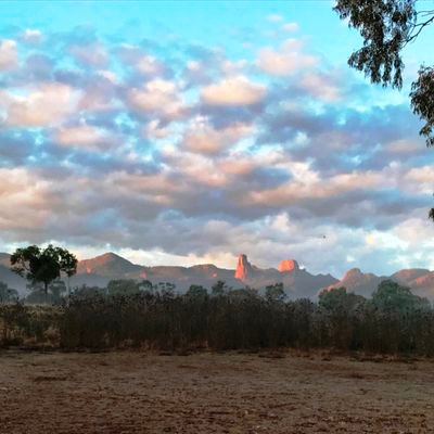 elias_nc010's profile picture. 