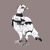 Camden Fringe (@camdenfringe) 's Twitter Profile