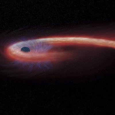 SkyTnh777's profile picture. 